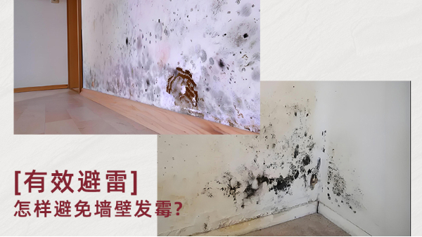 無(wú)機(jī)涂料真能防霉嗎？防霉原理是什么？百適涂無(wú)機(jī)涂料為何值得推薦？