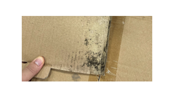 裝修技巧！紙箱倉庫如何防潮防霉，百適涂無機(jī)涂料支招！